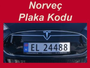 Norveç Plaka Kodu
