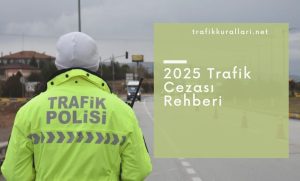 Trafik Ceza Rehnberi