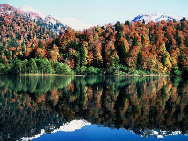 08 Nerenin Plakası? 08 Plaka Kodu Hangi Şehre Ait?