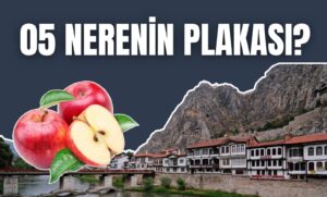 05 Nerenin Plakası? 05 Plaka Kodu Hangi Şehre Ait?