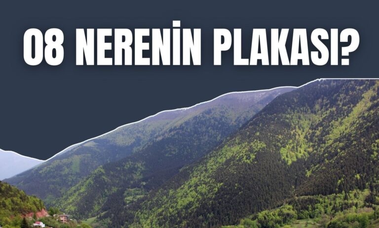 08 Nerenin Plakası? 08 Plaka Kodu Hangi Şehre Ait?
